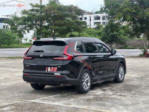 Xe Honda CRV L 2024