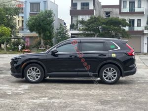 Xe Honda CRV L 2024
