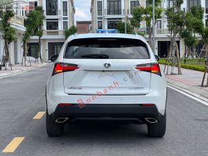 Xe Lexus NX 200t 2015