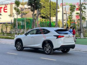 Xe Lexus NX 200t 2015