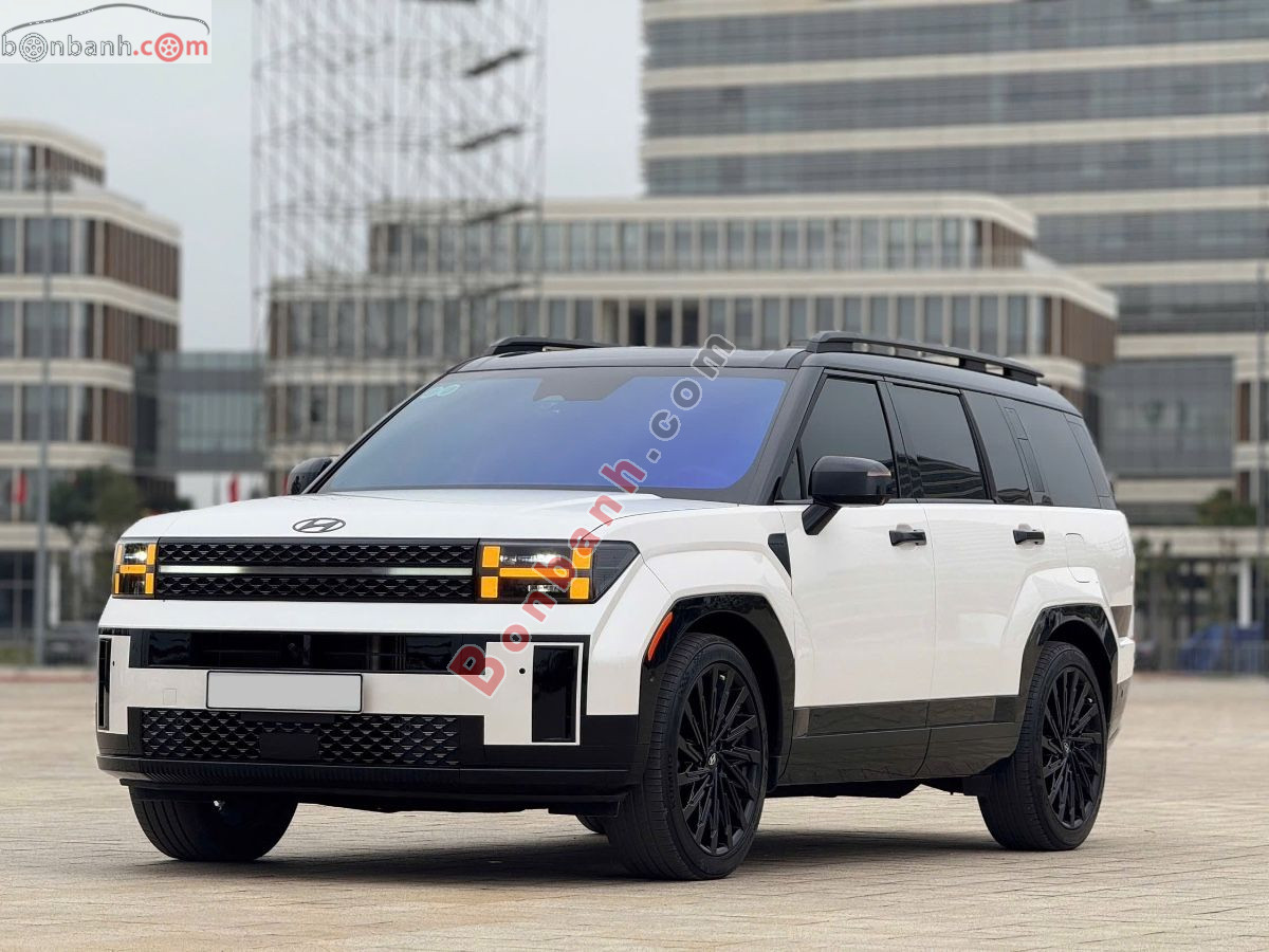 Hyundai SantaFe Calligraphy 2.5L Turbo HTRAC