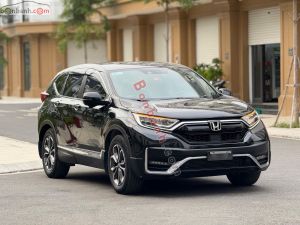 Xe Honda CRV L 2022